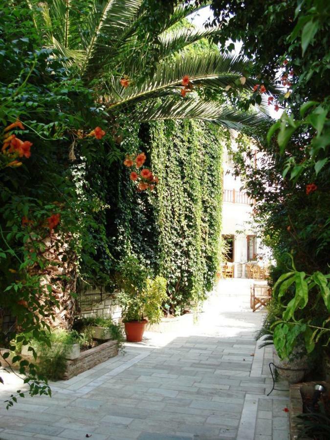 Pothos Hotel مدينة سكياثوس المظهر الخارجي الصورة