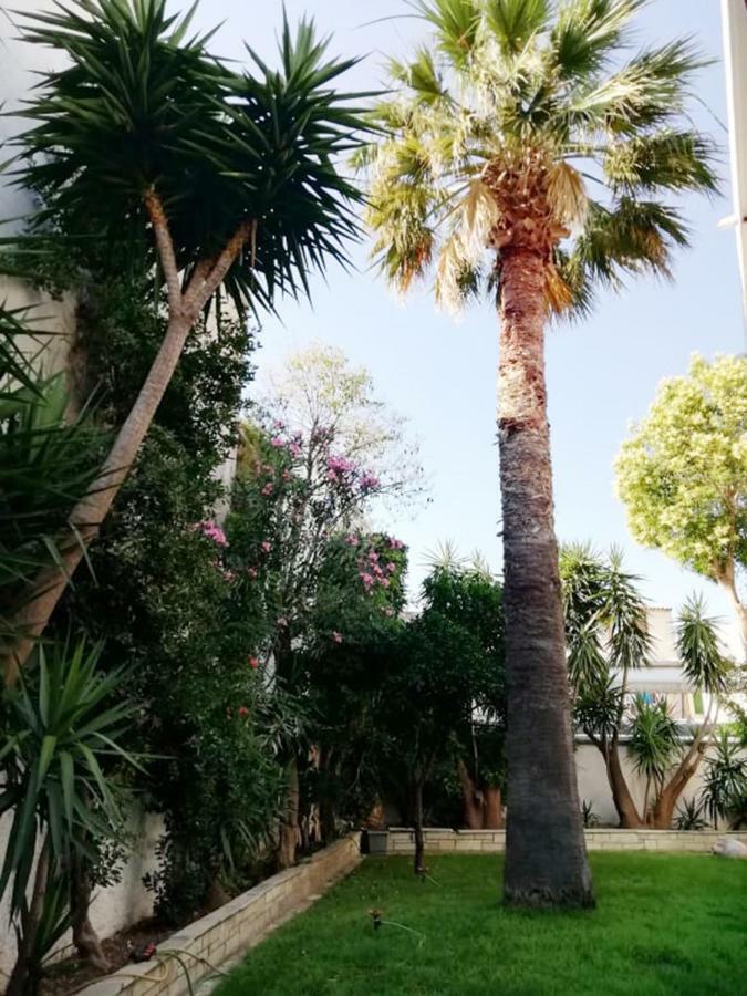 Pothos Hotel مدينة سكياثوس المظهر الخارجي الصورة